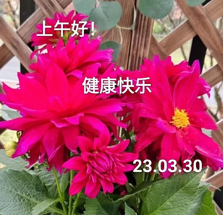 86歲檢查出腫瘤,獨(dú)居奶奶的生活是什么樣的?