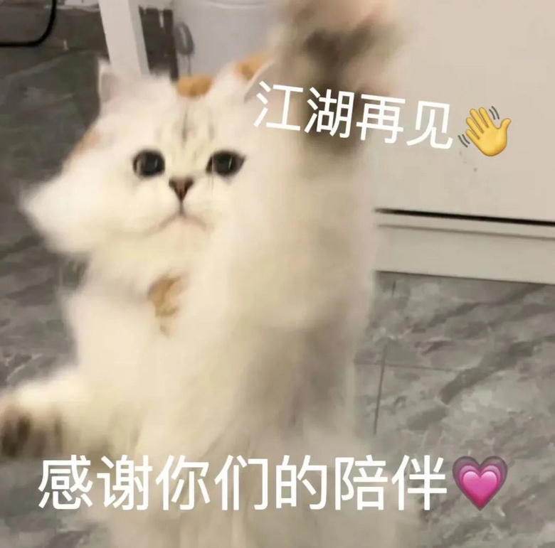 捡了只车祸小猫却没救活，主人将它埋葬，结果…三天后诈尸了？！