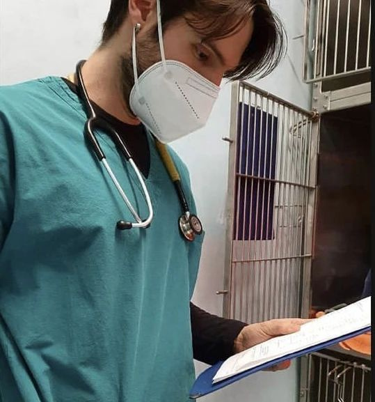 捡了只车祸小猫却没救活，主人将它埋葬，结果…三天后诈尸了？！