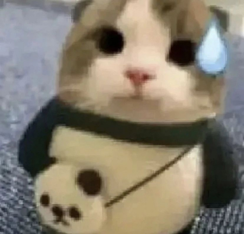 捡了只车祸小猫却没救活，主人将它埋葬，结果…三天后诈尸了？！