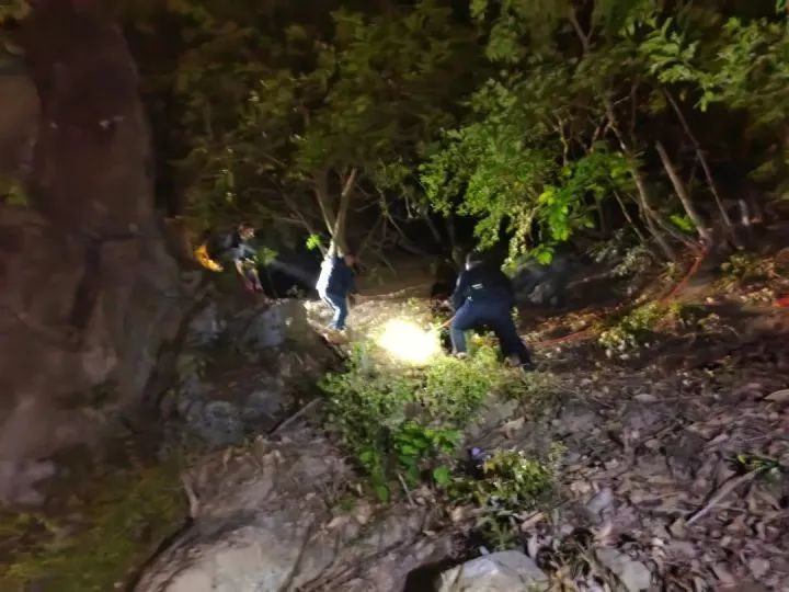 “我们是不是要死掉了！”一家三口杭州遭遇惊险一幕…