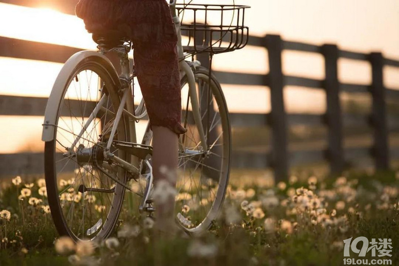 ���ں�ʢ����԰����ʹ�����糾����Ը�������