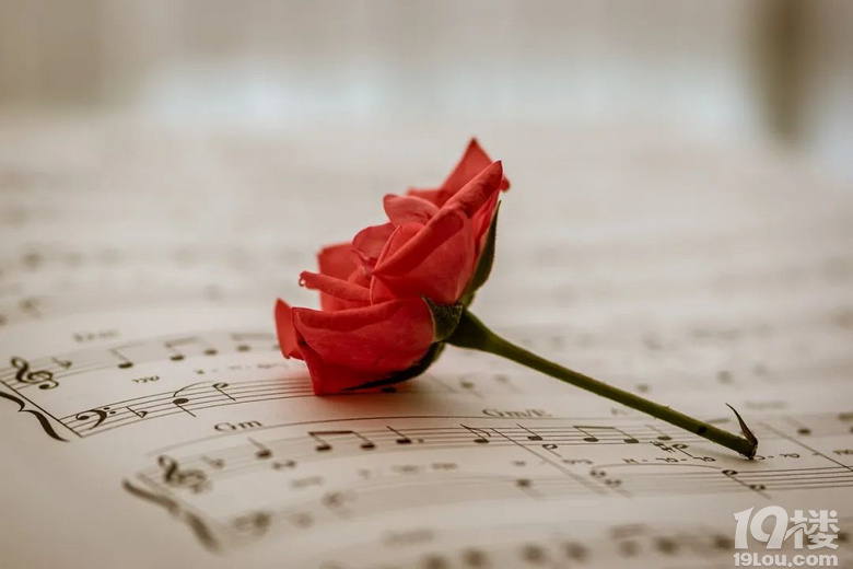 ���ں�ʢ����԰����ʹ�����糾����Ը�������