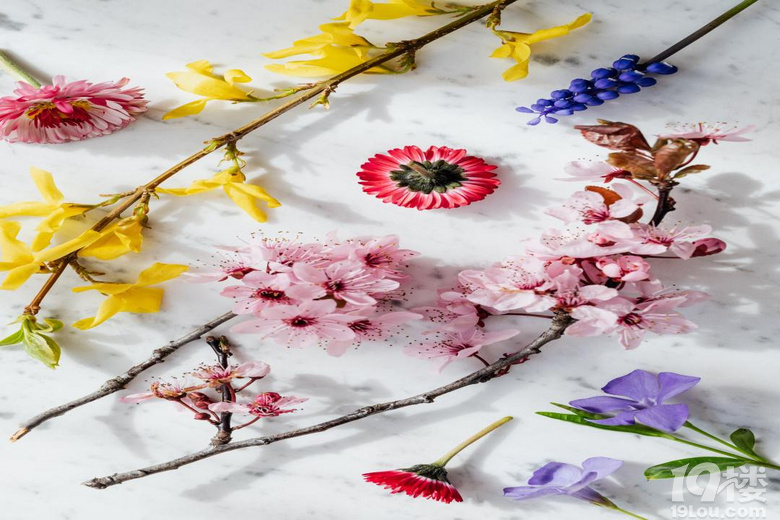 ���ں�ʢ����԰����ʹ�����糾����Ը�������