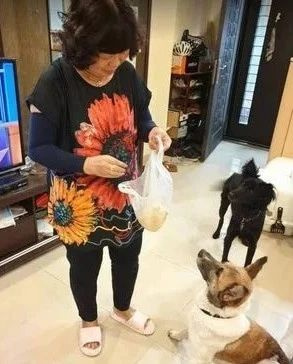 小哥制止狗子打架受傷,親媽得知后卻只說(shuō):我家小狗好可憐