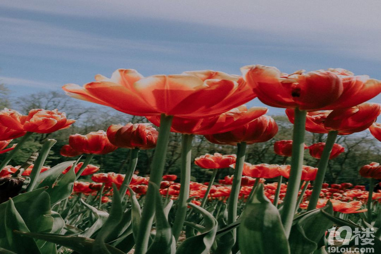 ��������Ϫ��԰������̦���ǵ����֣��ջᱻ����ů͸