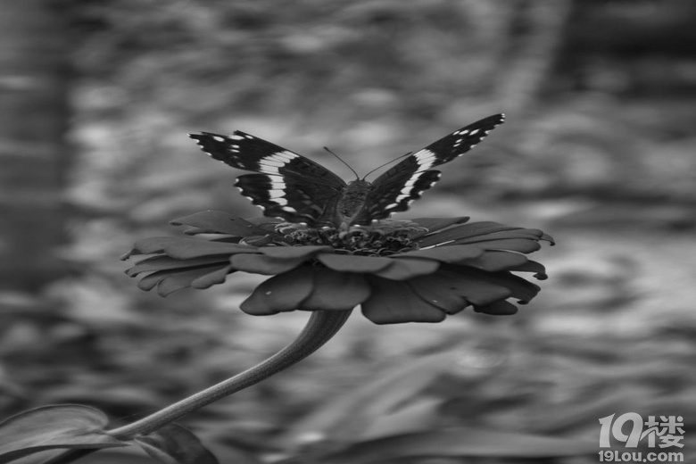 ��������Ϫ��԰������̦���ǵ����֣��ջᱻ����ů͸