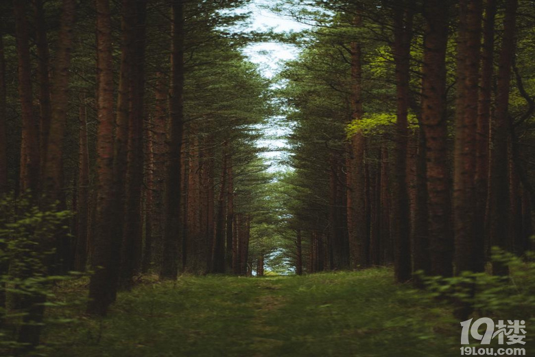 ����⻪Ϫɽ���С��Ҳ������ɺ쳾��ֻΪ;����������