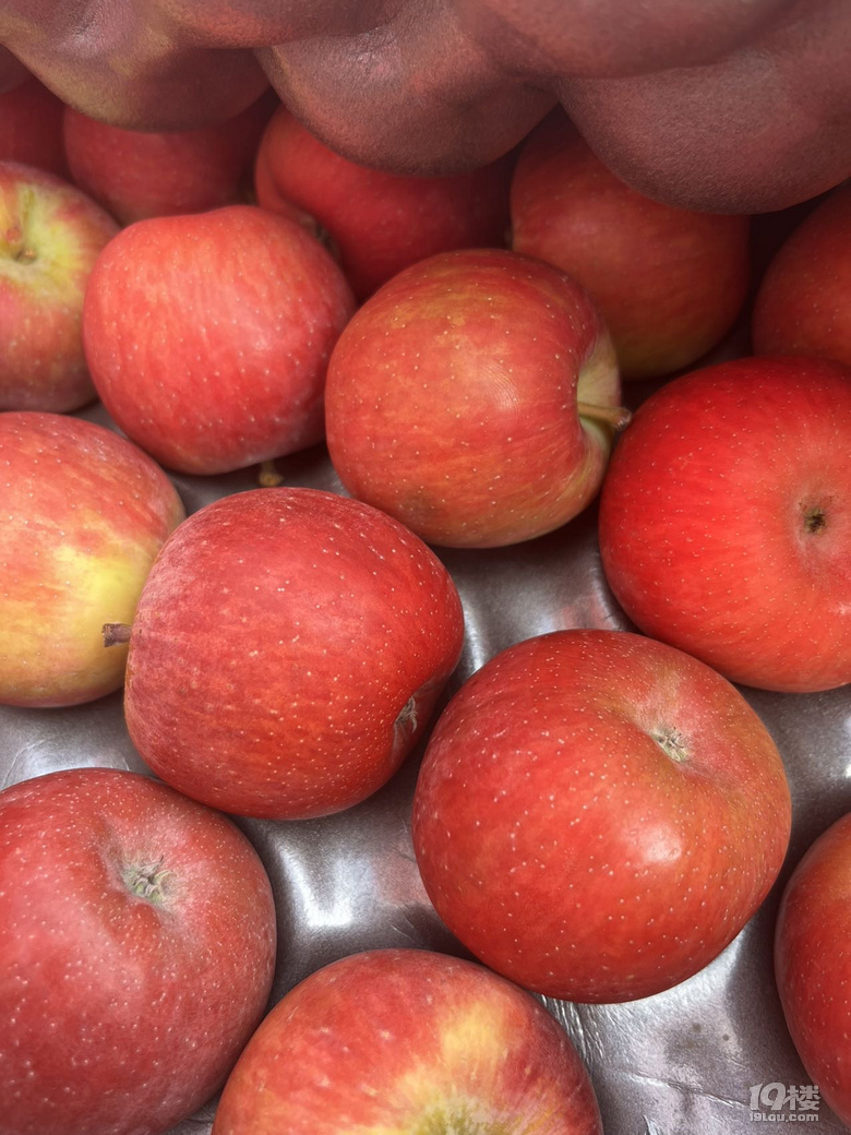 39.9元嘗鮮南非冰糖小蘋果,酥脆蜜甜,汁水足,肉嫩無渣!