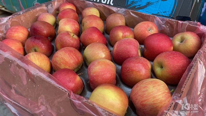39.9元嘗鮮南非冰糖小蘋果,酥脆蜜甜,汁水足,肉嫩無渣!