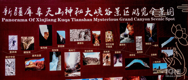 追逐五月的风,吹遍了新疆南北