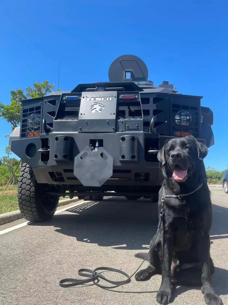 警犬退役后開放領養(yǎng)遭瘋搶,經(jīng)5次嚴格篩選才被成功領養(yǎng)!