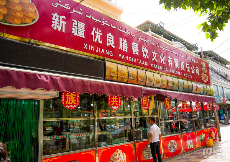 追逐五月的风，吹遍了新疆南北