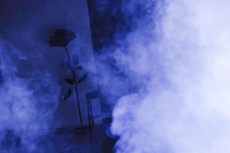 《情詩》進行時 | 猛烈的愛情纏繞我、用刺、用劍戮我,然后直