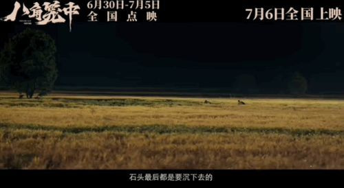 還沒上映票房已破4億,王寶強「真笨」