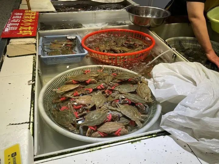 近期，养殖梭子蟹已经上市