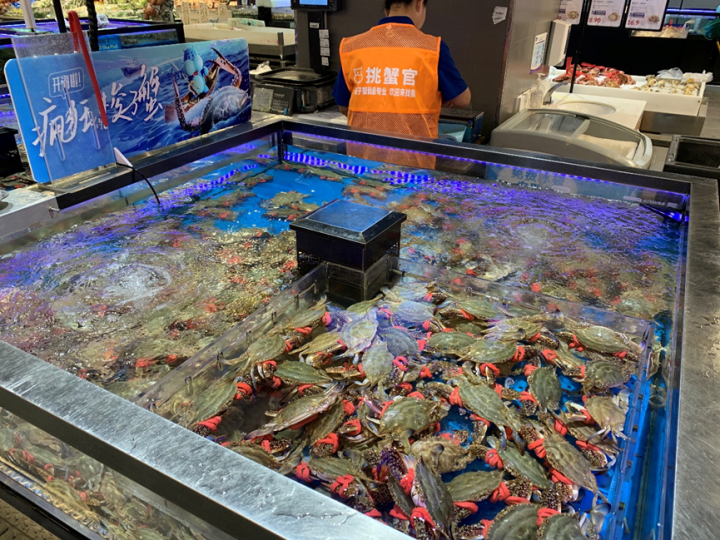 近期，养殖梭子蟹已经上市