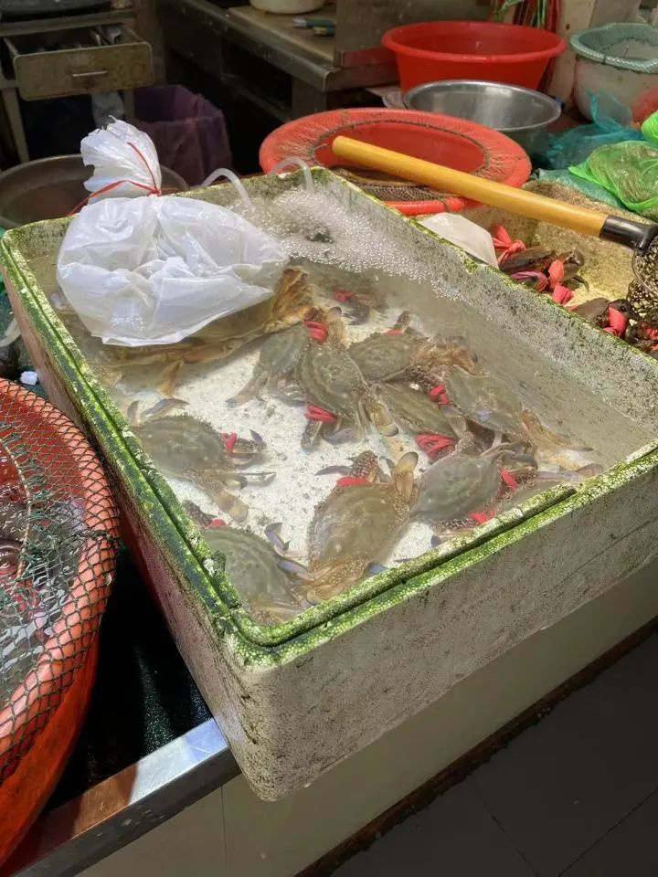 近期，养殖梭子蟹已经上市