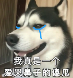 “救命,我今天又又又被狗打了!”