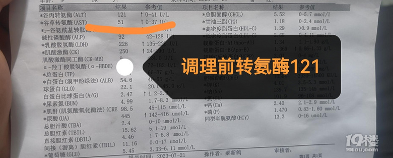 转氨酶121成功降到30，调理经验分享！！
