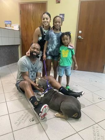 两只爱犬走失找不到，全家心碎搬家，3年后接到一个电话爆哭