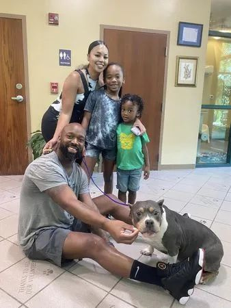 两只爱犬走失找不到，全家心碎搬家，3年后接到一个电话爆哭