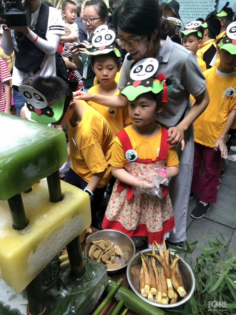 春生香果營業(yè)啦!杭州動物園終于有大熊貓啦