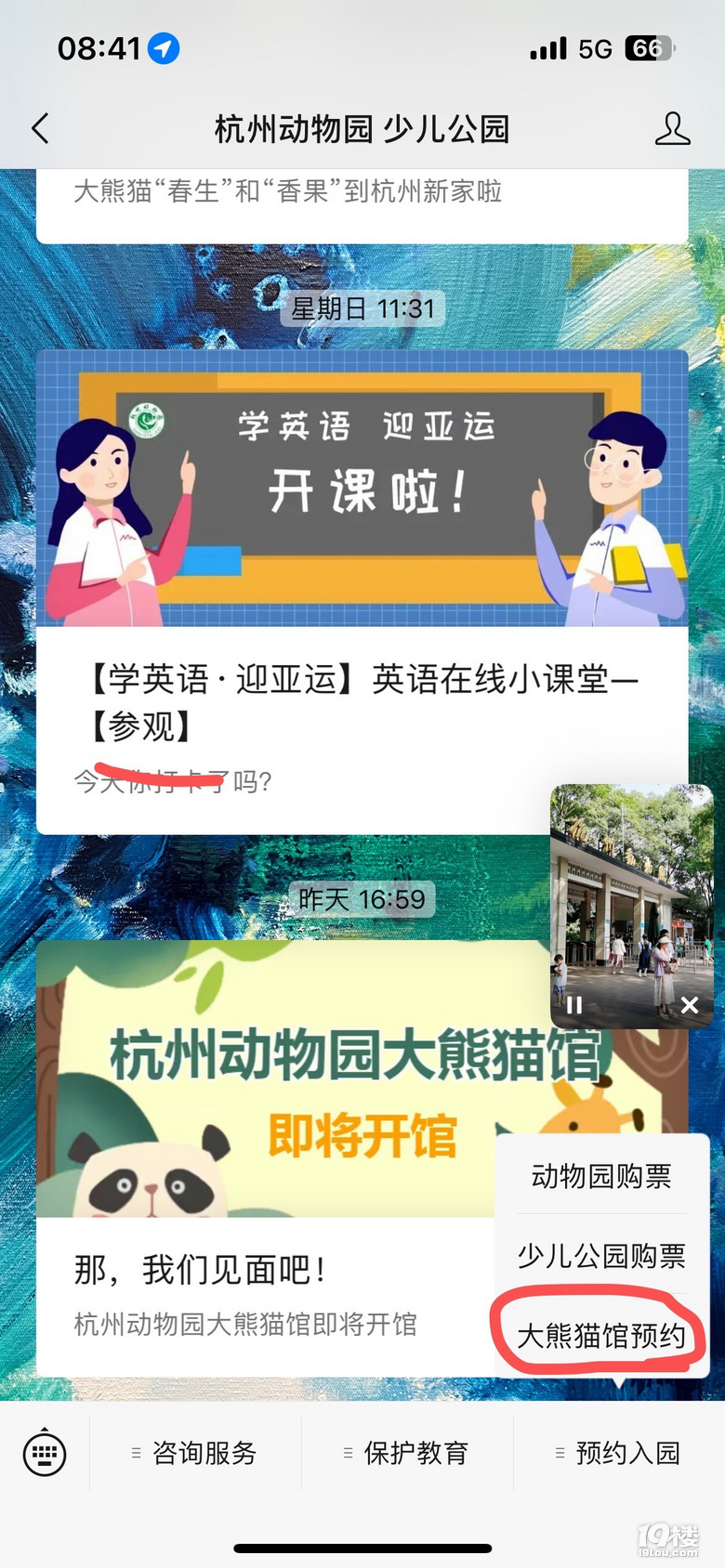 春生香果營業(yè)啦!杭州動物園終于有大熊貓啦