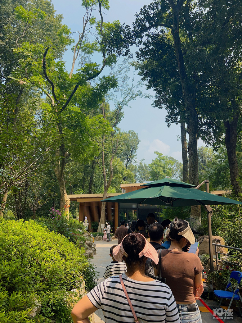 春生香果營業(yè)啦!杭州動物園終于有大熊貓啦