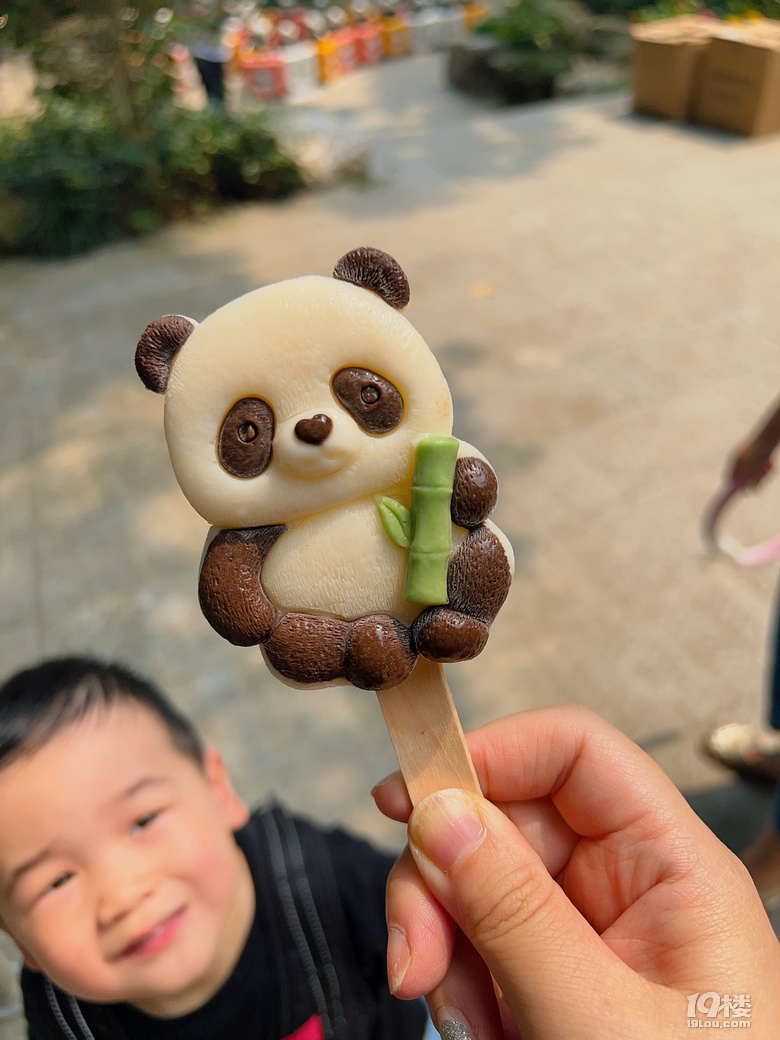 春生香果營業(yè)啦!杭州動物園終于有大熊貓啦