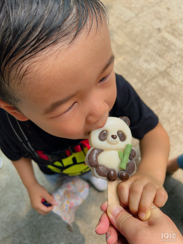 春生香果營業(yè)啦!杭州動物園終于有大熊貓啦