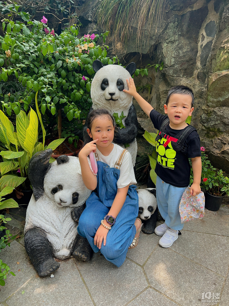 春生香果營業(yè)啦!杭州動物園終于有大熊貓啦