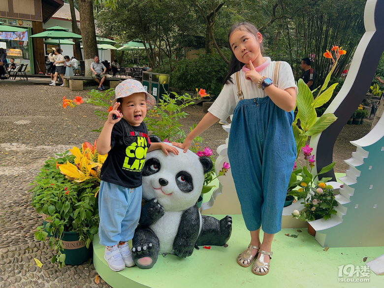 春生香果營業(yè)啦!杭州動物園終于有大熊貓啦