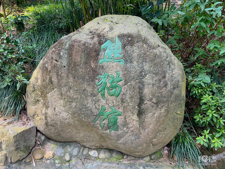 春生香果營業(yè)啦!杭州動物園終于有大熊貓啦