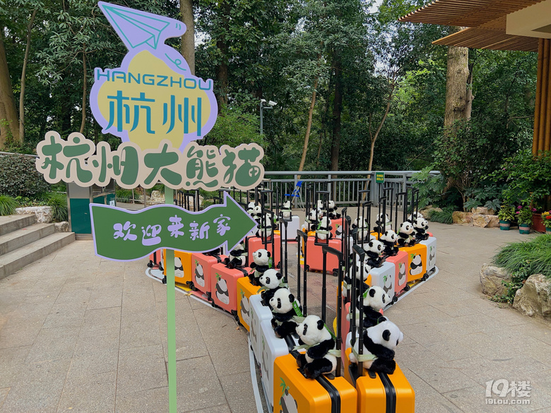 春生香果營業(yè)啦!杭州動物園終于有大熊貓啦