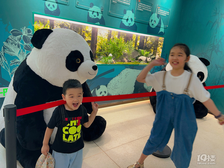 春生香果營業(yè)啦!杭州動物園終于有大熊貓啦
