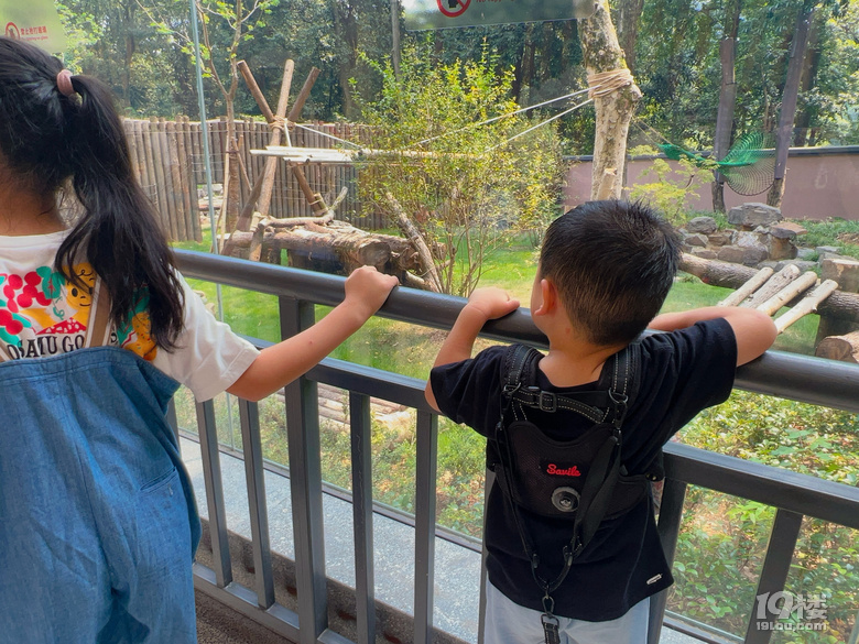 春生香果營業(yè)啦!杭州動物園終于有大熊貓啦