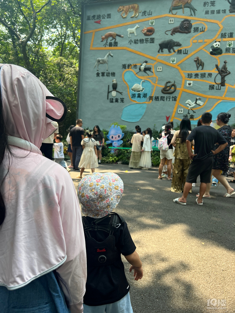 春生香果營業(yè)啦!杭州動物園終于有大熊貓啦