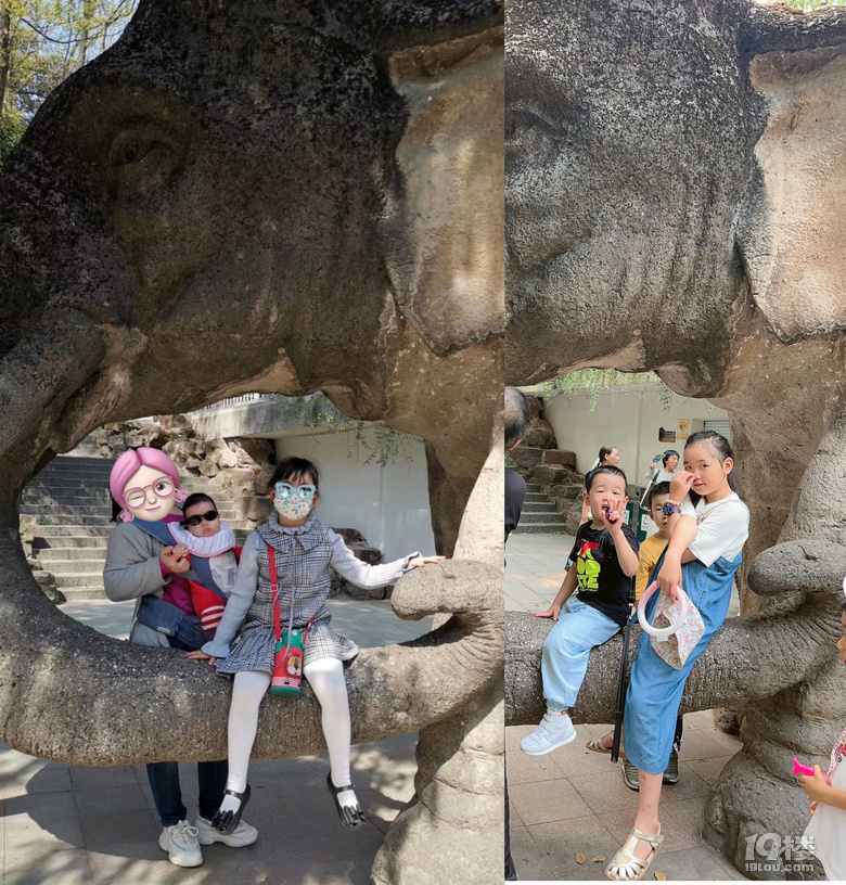 春生香果營業(yè)啦!杭州動物園終于有大熊貓啦