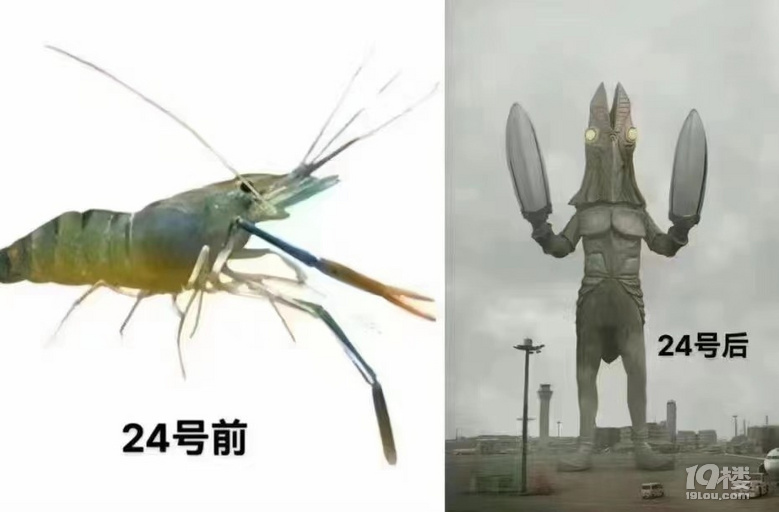 ˏUˮк]˲Ÿv