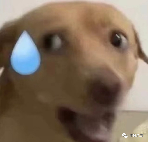 天才童星是如何陨落的？裸聊打架入黑帮，杀人后开毒趴变通缉犯