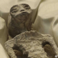 墨西哥展出两具“外星人尸体”：距今1000年，DNA未知_图1