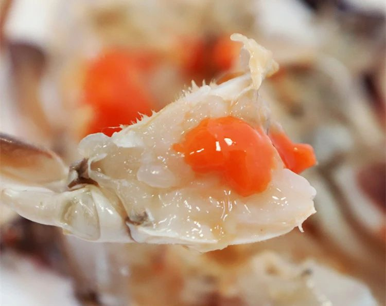 就好這一口!舟山紅膏嗆蟹238元8只,膏肥肉滿,鮮到“跳腳”