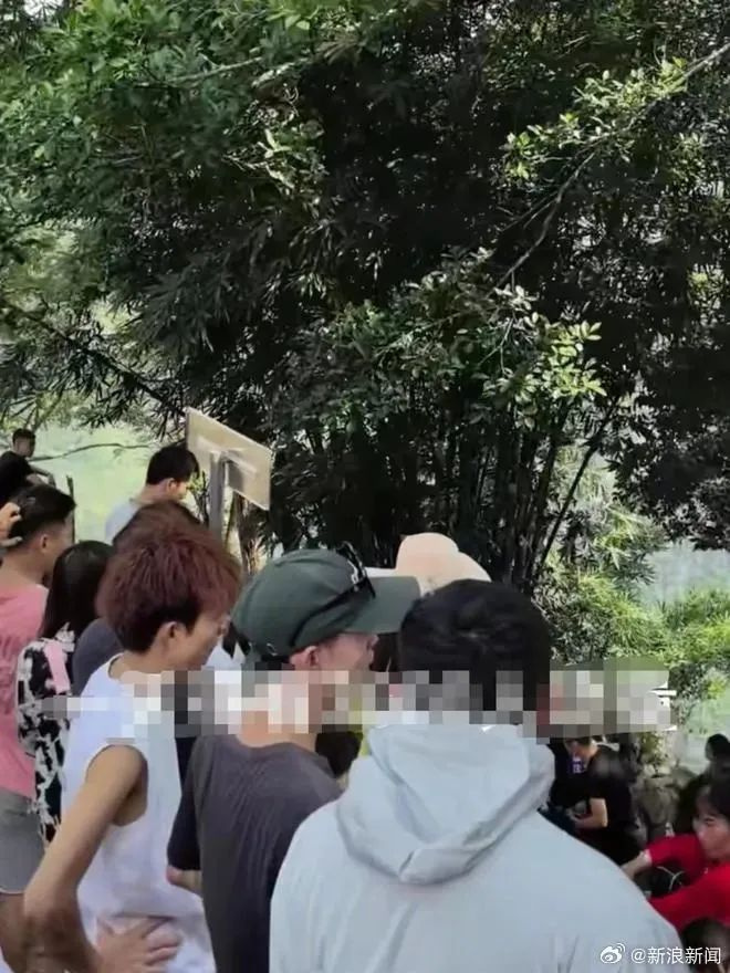 知名女演员紧急回应!
