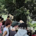 知名女演员紧急回应！_图0