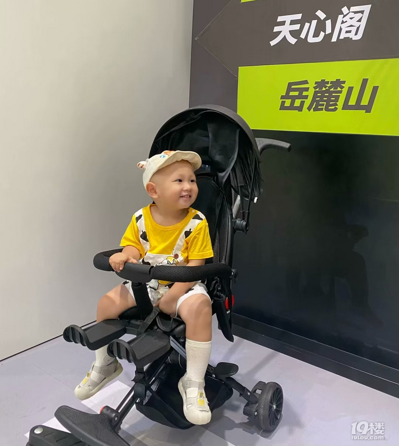 2023ӛ޴L(zhng)ɳ