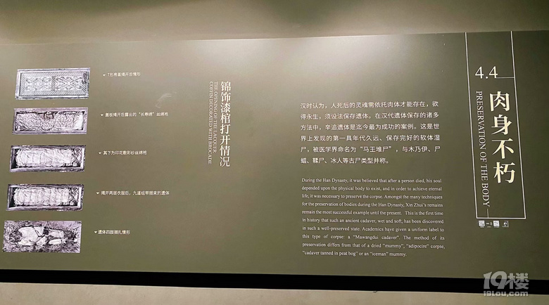 2023ӛ޴L(zhng)ɳ