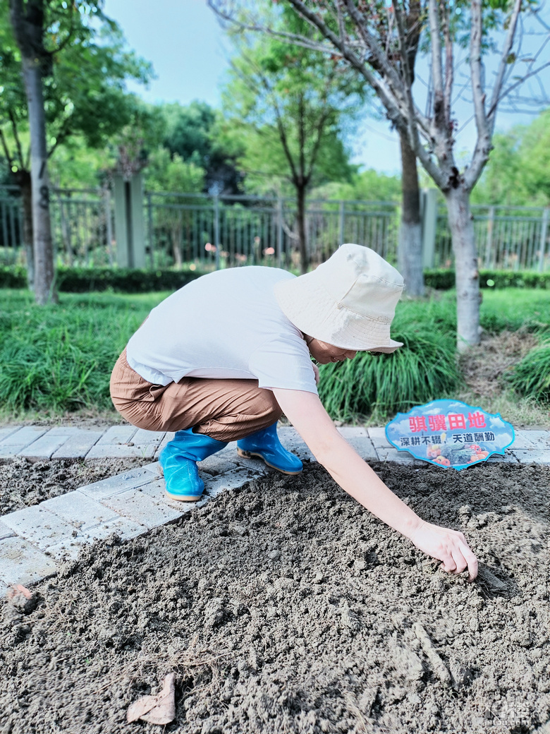 “蕙中小菜园”劳动基地正式开“播”啦！