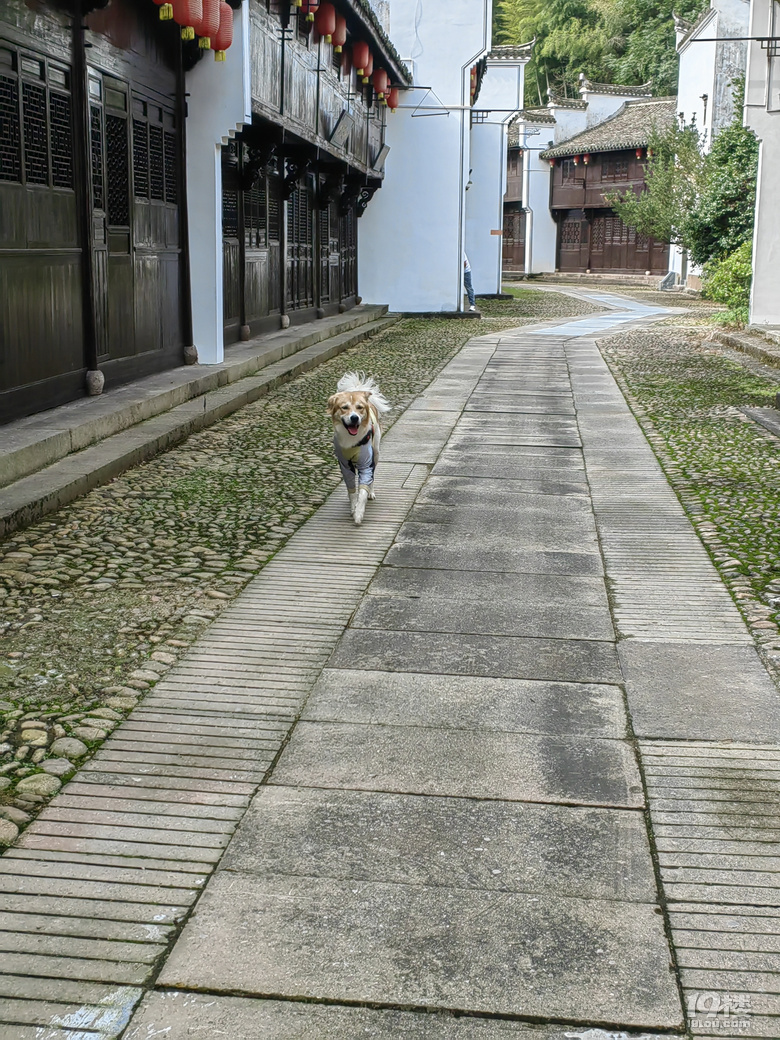 【親子游記】+臨安八百里&博物館