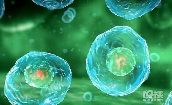 心慌头晕?阴阳失调?是抑郁症、焦虑症还是植物神经紊乱?